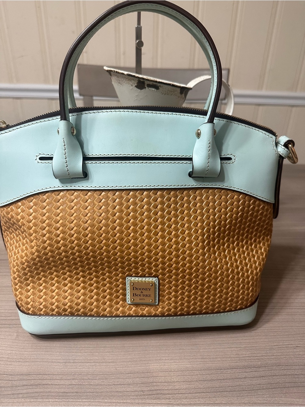 Dooney & Bourke Straw Satchel with Mint Trim